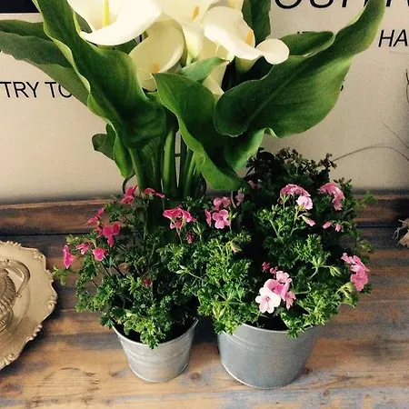 Via Dei Templi ベッド・アンド・ブレックファスト 4*