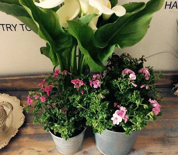 维亚代腾普利住宿加早餐旅馆 住宿加早餐酒店 4*